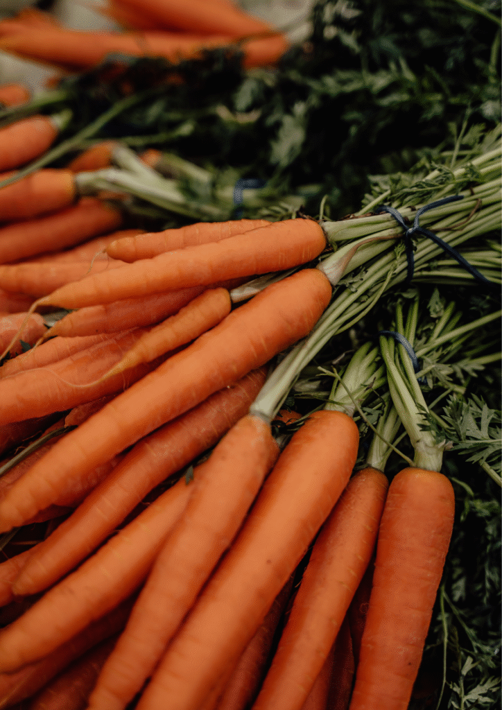 Episode 1 of हेल्थ इस वेल्थ be better