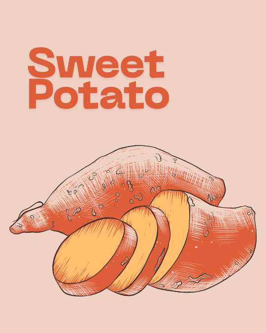 Episode 1 of हेल्थ इस वेल्थ be better